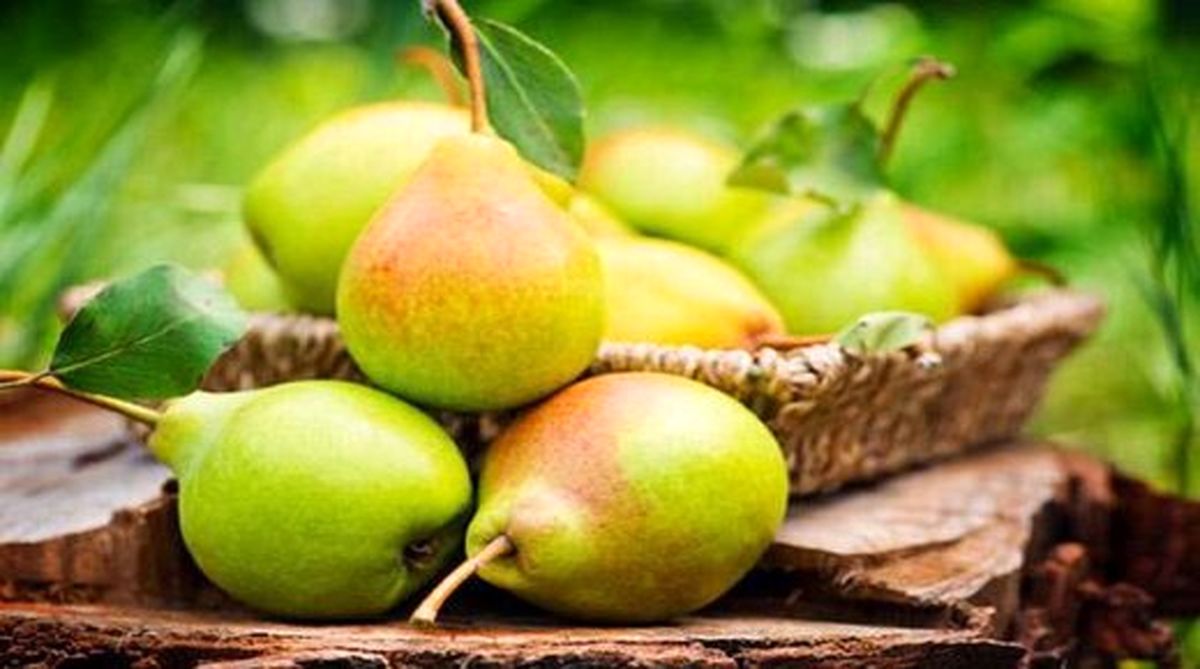 خواص ضد سرطان این میوه، سرشار از فیبر و مناسب برای کاهش وزن