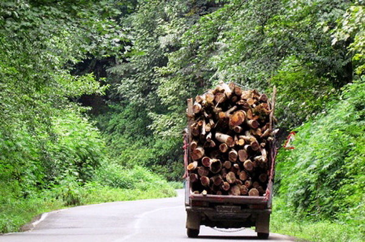 هم صنعت چوب، هم جنگل ممکن است؟