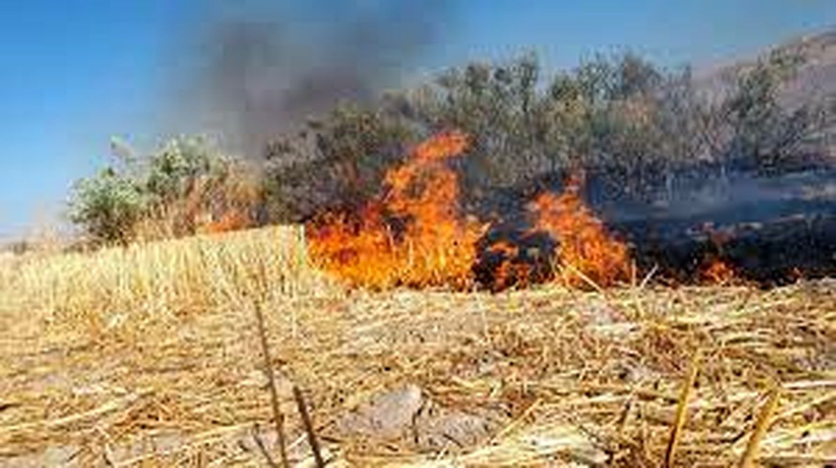 آتش به جان زمین های زراعی خوزستان